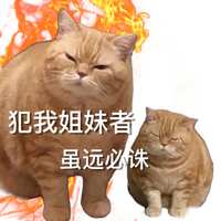 https://images.plurk.com/2h599jxnImIOLKjrSWMLIs.jpg