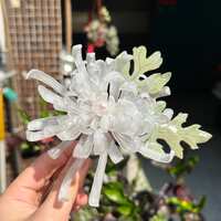 https://images.plurk.com/2hGY3nFU1K5JaDZlbx1RIW.jpg