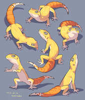 https://images.plurk.com/2hNxnWw37kd6bP7AzT7gBp.jpg