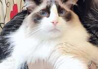 https://images.plurk.com/2hXegkL5vWKS1meccbRzj.jpg