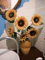 https://images.plurk.com/2hYjLxjLfPZmqsOsoRcaSF.jpg