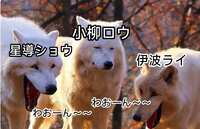 https://images.plurk.com/2hdmxh3aEZU7zvuGCwpcPx.png