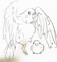 https://images.plurk.com/2hhlcEPNAMCDBQ1eEccTOi.jpg