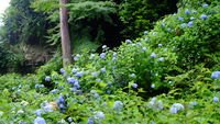 https://images.plurk.com/2hjlMjP4lt0PwxxNvKCb.jpg