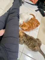 https://images.plurk.com/2hkMHp3vI1qVN6DDYH8WSO.jpg