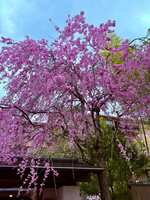 https://images.plurk.com/2hlttsi4rh1DlMc71Cyomn.jpg
