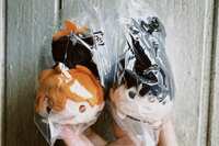 https://images.plurk.com/2hn6ycX0isfFvKRyxVFTa6.jpg