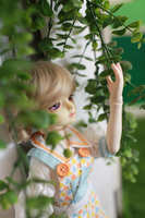 https://images.plurk.com/2hv5G1pBAAuc1GyDyB2Vq.jpg
