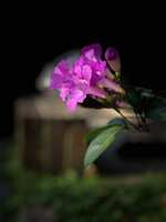 https://images.plurk.com/2i3SMtBZ887LKy9sqrafqk.jpg