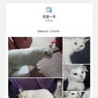 https://images.plurk.com/2i45UJCNAdXHkGpd1hC8Jm.png