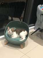https://images.plurk.com/2iAEhhfPeWiDcUZHuDXL7n.jpg