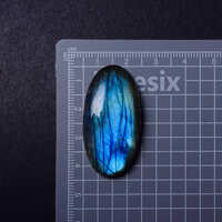 https://images.plurk.com/2iBludh2qSMg6EOEM9OWD1.jpg