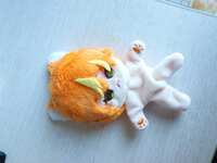 https://images.plurk.com/2iHWnNGBzJICGTFPdfksNs.jpg