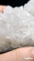 https://images.plurk.com/2iKxCzOi17keVSTQ0gFrCP.gif