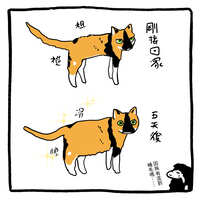 https://images.plurk.com/2iMH8Oi4i5JEmPqXVkAQOx.jpg