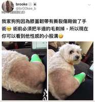 https://images.plurk.com/2iNq2kyEolAP5XAN4OTQdy.jpg