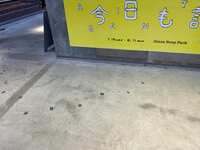 https://images.plurk.com/2igATD3NtJbeIA8VXSPBpc.jpg