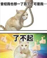 https://images.plurk.com/2ihVM6uaTip8H8XnsKblhP.jpg