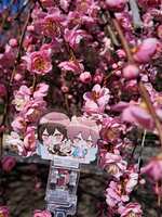 https://images.plurk.com/2ii35lPHHNfdnjr1Vh5klZ.jpg