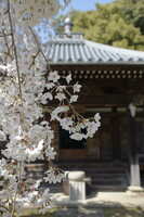 https://images.plurk.com/2ixhqktmgfKMqwXcEoZX6y.jpg