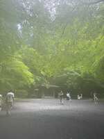 https://images.plurk.com/2j4PV3EduGrCJEs5t6GtlL.jpg