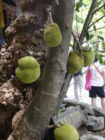 https://images.plurk.com/2jBUj49EaorkndzxLBjmnB.jpg