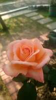 https://images.plurk.com/2jD3tD3b93Q9W6x85Jkqap.jpg