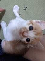 https://images.plurk.com/2jINh2Ce7yRwQhtjOpMt3Y.png