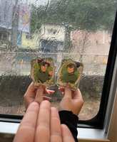 https://images.plurk.com/2jPbAghPyimfWX7MMJAJY6.jpg