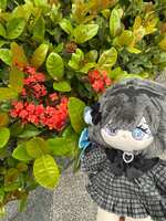 https://images.plurk.com/2jQobsDYMS0fx1csHleFgb.jpg