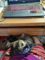 https://images.plurk.com/2jaXtkVnUzCbxV2YJh5qqK.jpg