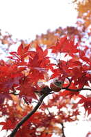 https://images.plurk.com/2jbTg70A3wwqDwGoaJHko1.jpg