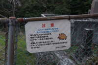 https://images.plurk.com/2jcHVoxP06GbgeaiwFiMnO.jpg