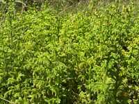 https://images.plurk.com/2jhdcPQmtcVHDw8KpFg9gl.jpg