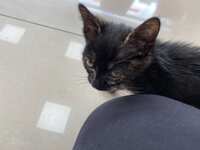 https://images.plurk.com/2jiQAswnOFr0Srj9SXsWHf.jpg
