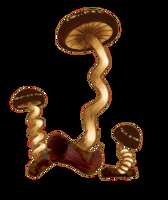 https://images.plurk.com/2jnWaTtVKyMsCcyKRkU8CH.png