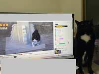 https://images.plurk.com/2joT87Ka7nkfOQsIeY7vqb.jpg