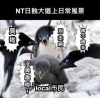 https://images.plurk.com/2jznUE7FoEAOAMxeyfV24p.png