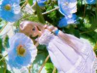 https://images.plurk.com/2k8YUL1O8pxULn4oZqWeqX.jpg