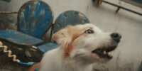 https://images.plurk.com/2kKIfFXFucngGgcCQ5iwPJ.gif