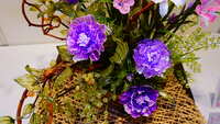 https://images.plurk.com/2kRM23paLDTzwYuTkHNBCq.jpg