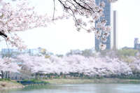 https://images.plurk.com/2kUUNuHe6WvB7006btL48o.jpg