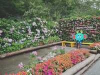 https://images.plurk.com/2kaxWlLyJURYFpF16WjJZK.jpg