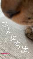 https://images.plurk.com/2kbxttdM3d8o75Rg8n9mcO.png