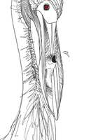 https://images.plurk.com/2kgNZIDp6mwNUPLZoQ79IV.jpg
