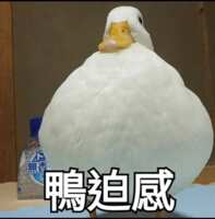 https://images.plurk.com/2knPEt60kapgmITZUByKHa.png