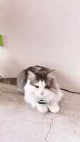 https://images.plurk.com/2l5A3ZiFXRu4tcowooZIHI.jpg