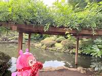 https://images.plurk.com/2l6UBNISD2hN7GCK0gtWn7.jpg