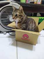 https://images.plurk.com/2l787IwqHyeQeLjnEvSR38.jpg