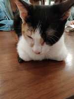 https://images.plurk.com/2lAQqogzufwt1SwbSegI6f.jpg